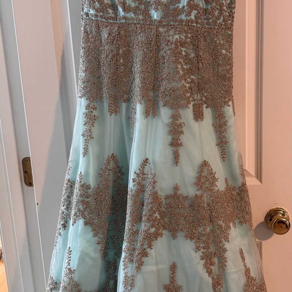 Elegant Women’s Indian Wedding Gown  in Aqua and Gold